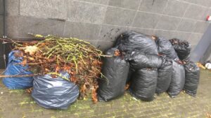 Вывоз садовых отходов 3